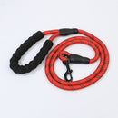 laisse 1,5 m pour chien