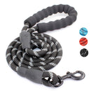 laisse 1,5 m pour chien