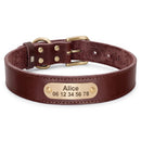 Collier en cuir Alice personnalisable pour chien, marron, vue à plat