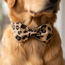 Collier nœud papillon Léopard pour chien, porté par un chien