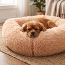 Coussin Apaisant Comfy Square pour Chien, beige, chien endormi