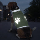Gilet réfléchissant pour chien, visibilité de nuit