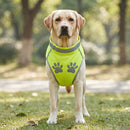 Gilet réfléchissant pour chien, porté par un chien