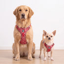 Harnais coloré en H pour chien, rouge, repère de taille