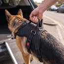 Harnais pour chien avec poignée, noir, en utilisation
