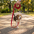 Laisse rouge à Pois pour chien, en utilisation