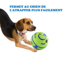 Jouet balle sonore pour chien