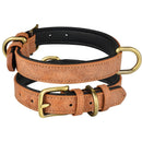 Collier en cuir doublé bicolore pour chien