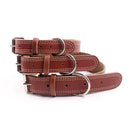 Collier en cuir pour moyen et grand chien