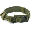 Collier militaire pour chien