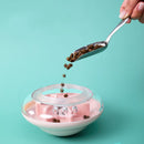 Jouet d’intelligence distributeur de nourriture soucoupe pour chien