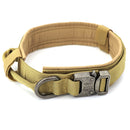 Collier militaire pour chien