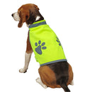 Gilet réfléchissant pour chien