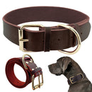 Collier en cuir brut pour chien