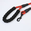 laisse 1,5 m pour chien