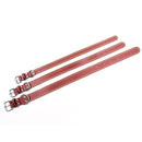 Collier en cuir pour moyen et grand chien