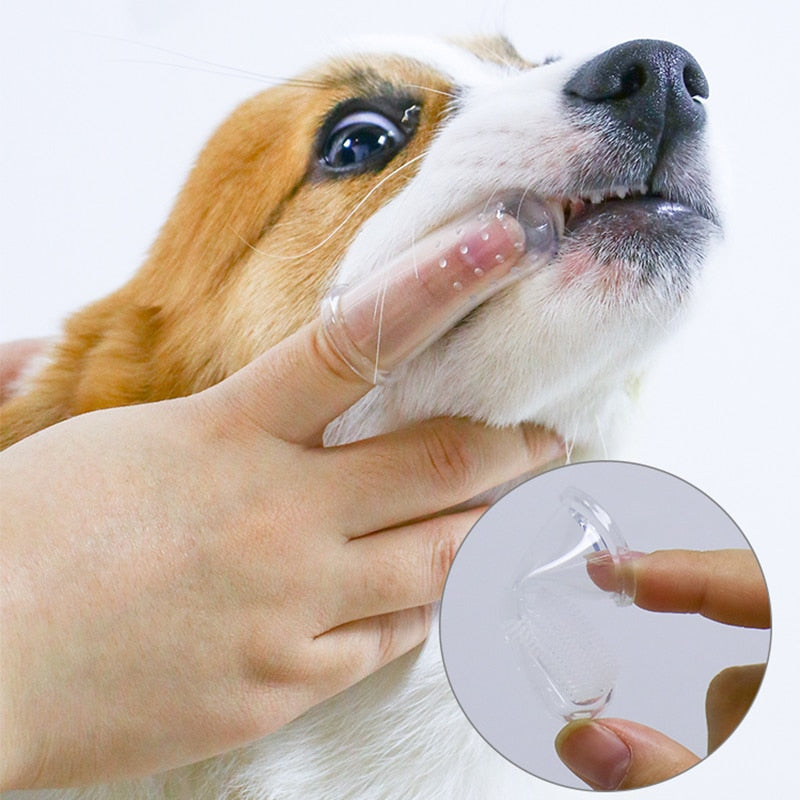 Brosse à dents à doigt pour chien
