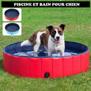 Piscine portable