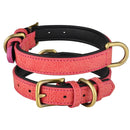 Collier en cuir doublé bicolore pour chien