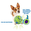 Jouet balle sonore pour chien