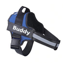 Harnais BUDDY personnalisable