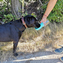 Gourde pour chien et chat 350 ML/550 ML