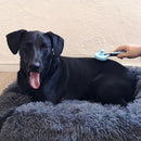 Brosse de toilettage pour chien et chat