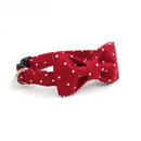 Ensemble longe & collier nœud papillon à pois pour chien