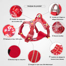 Harnais coloré en H pour chien