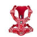 Harnais coloré en H pour chien