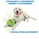 Jouet balle sonore pour chien