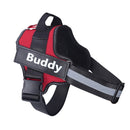 Harnais BUDDY personnalisable