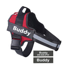 Harnais BUDDY personnalisable