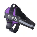 Harnais BUDDY personnalisable